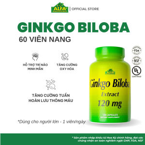 Ginko Biloba Alfa vitamins